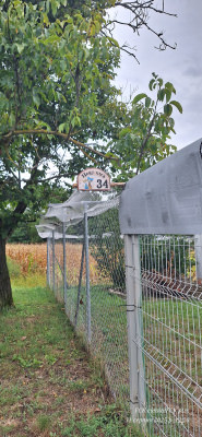 Cat Safety Net by the m² (Custom-Made) | Safetynet365