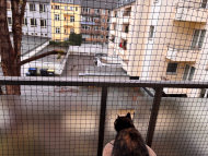 Cat Safety Net by the m² (Custom-Made) | Safetynet365