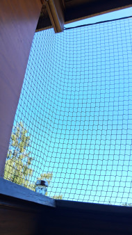 Cat Safety Net by the m² (Custom-Made) | Safetynet365