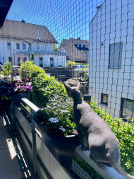 Cat Safety Net by the m² (Custom-Made) | Safetynet365