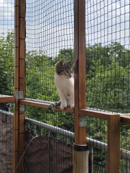 Cat Safety Net by the m² (Custom-Made) | Safetynet365