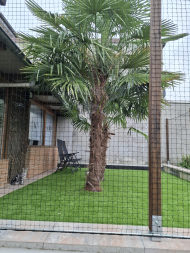 Cat Safety Net by the m² (Custom-Made) | Safetynet365