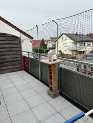 Cat Safety Net by the m² (Custom-Made) | Safetynet365