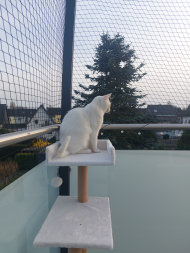 Cat Net by the m² (Made to Measure) | Safetynet365