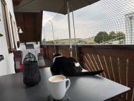 Cat Net by the m² (Made to Measure) | Safetynet365