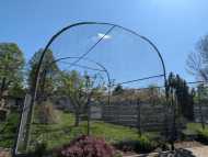 Safety Net by the m² (Custom-Made) 1.5/50 mm | Safetynet365