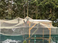 Close-meshed Bird Protection Net (Custom-Made) | Safetynet365