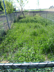 Bird Guard Netting by the m² (Made to Measure) | Safetynet365