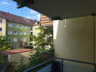 Pigeon Protection Net by the m² (Custom-Made) | Safetynet365