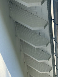 Pigeon Protection Net by the m² (Custom-Made) | Safetynet365