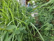 Net Made to Measure (by the m²) | Safetynet365