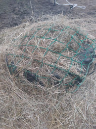 Safety Net by the m² (Custom-Made) 5.0/120 mm | Safetynet365