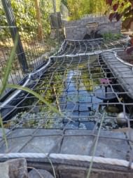 Pond Covering Net by the m² (Custom-Made) | Safetynet365