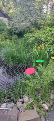 Pond Covering Net by the m² (Custom-Made) | Safetynet365