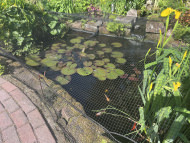 Leaf Net by the m² (Custom-Made) | Safetynet365