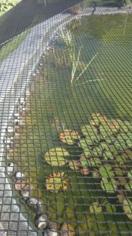 Custom-Made Foliage Protection Net against leaves | Safetynet365