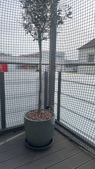 Extra Strong Cat Safety Net, Custom-Made | Safetynet365