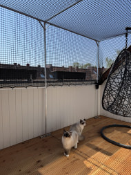 Extra Strong Cat Safety Net, Custom-Made | Safetynet365