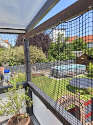 Extra Strong Cat Safety Net, Custom-Made | Safetynet365