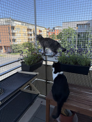 Extra Strong Cat Safety Net, Custom-Made | Safetynet365