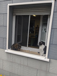 Extra Strong Cat Safety Net, Custom-Made | Safetynet365