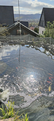 Safety Net Made to Measure (by the m²) 1.0/20 mm | Safetynet365
