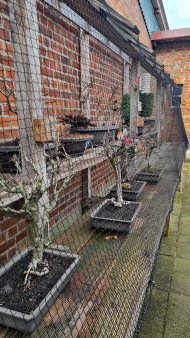 Safety Net Made to Measure (by the m²) 1.0/20 mm | Safetynet365