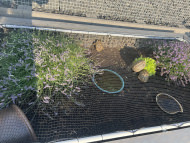 Safety Net Made to Measure (by the m²) 1.0/20 mm | Safetynet365