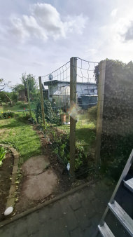 Facade Net/Ivy Net by the m² (Custom-Made) | Safetynet365
