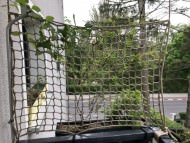 Balcony Safety Net for Children (Custom-Made) | Safetynet365