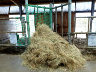 Hay Feeding Net by the m² (Custom-Made) | Safetynet365