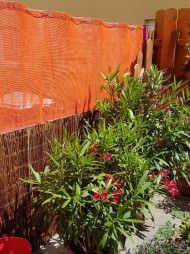 Windscreen Net for Home, Garden & Sports | Safetynet365