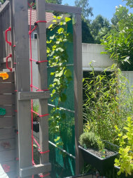 Windscreen Net for Home, Garden & Sports | Safetynet365