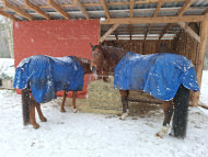 Windscreen Net for Home, Garden & Sports | Safetynet365