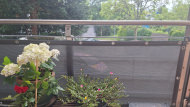 Opaque Screen Netting by the m² (Custom-Made) | Safetynet365