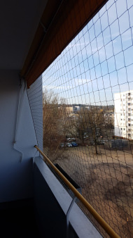 Pigeon Protection Net, by the m² (Custom-Made) | Safetynet365