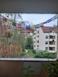 Pigeon Protection Net, by the m² (Custom-Made) | Safetynet365