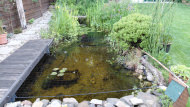 Pigeon Protection Net, by the m² (Custom-Made) | Safetynet365