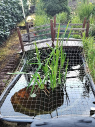 Pigeon Protection Net, by the m² (Custom-Made) | Safetynet365