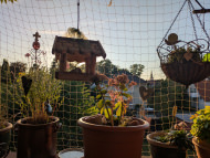 Pigeon Protection Net, by the m² (Custom-Made) | Safetynet365
