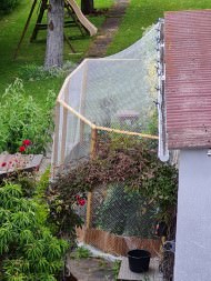 Bird Protection Net with Border, by the m² (Custom-Made) | Safetynet365