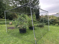 Bird Protection Net with Border, by the m² (Custom-Made) | Safetynet365