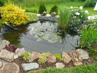 Aviary Net by the m² (Custom-Made), black | Safetynet365