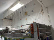 Net by the m² (Custom-Made) 1.0/30 mm | Safetynet365