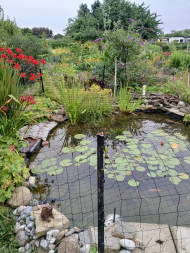 Heron Guard Net by the m² (Custom-Made), black | Safetynet365