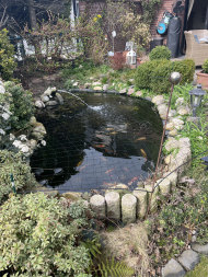 Heron Protection Net by the m² (Custom-Made), black | Safetynet365