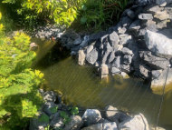 Heron Protection Net by the m² (Custom-Made), black | Safetynet365