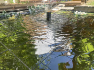 Heron Protection Net by the m² (Custom-Made), black | Safetynet365