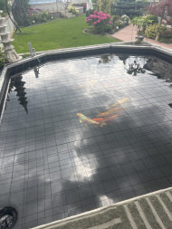 Heron Protection Net by the m² (Custom-Made), black | Safetynet365