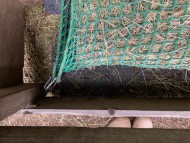 Custom-Made Hay Net Bag | Safetynet365